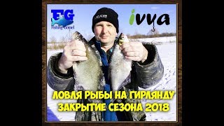 Ловля рыбы на гирлянду зимой Закрытие сезона 2018