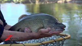ZMan FrogZ for Surface Cod
