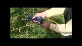 Campagnola Pneumatic Pruning -Vineyard, Orchard and Blueberries