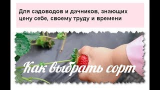 Выбор сорта клубники.  Весна 2019 год.  Часть 1
