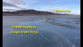 ? Рыбалка в Монголии озеро Ачит-Нуур