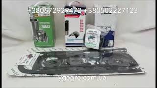 Поршневая группа МТЗ Д-240, ЮМЗ Д-65 Сравнение КАМА завод ДВИГАТЕЛЬ и КОСТРОМА