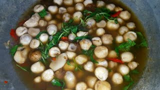 เห็ดเผาะโลละ800กินเห็ดฟางไปก่อนคะ แกงเห็ดฟาง??