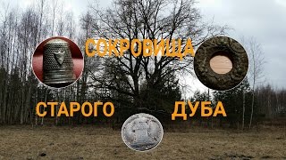 Сокровища старого дуба.Minelab Safari.Коп 2016.