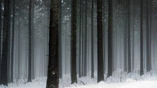 The Classical Jazz Quartet Play Rachmaninov - Piano Concerto #2 in C minor 1 Movement I part II