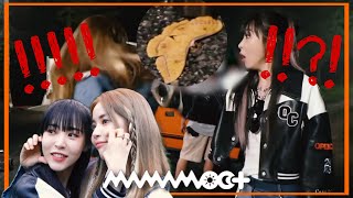 [마마무+] 솔라×문별 첫째 놀리기 고수 막내 햄쪽이 (뻥이쥐~ 용몰이) 그러다 팅커벨 만남..