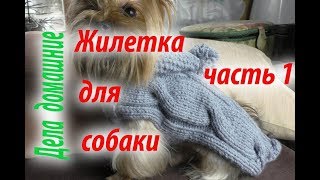 Жилетка для собаки.Как связать жилетку для собаки своими руками.Часть 1.