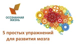 5 простых упражнений для развития мозга