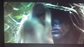 Ato de coragem sniper em ação cenas do filme