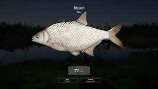 Russian Fishing 4 Beginner's Guide to RF4 Level 17 Old Burg Checking in on Bream Spot