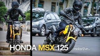 TEST | HONDA MSX 125.. Il a tout d'une grande, même un peu plus