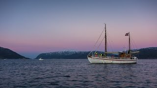 Whale watching in Tromsø, Norway 30.11.2014