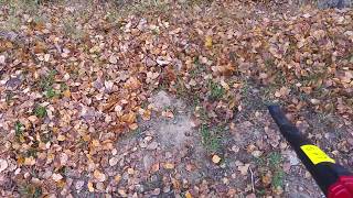 Meec Lövblås 18V test
