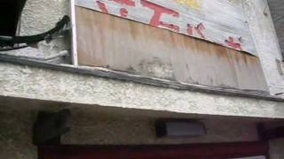 立石バーガー （東京都葛飾区堀切3-17-15） 2011/10/30