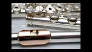 Pēteris Vasks - Concerto for Flute and Orchestra