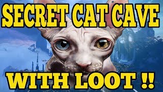 Destiny 2  Forsaken : Secret Cat Cave With Loot & Where To Find It