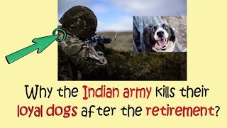 Most Brilliant IAS Interview Questions with Answers || why Indian army dogs are killed  retirement