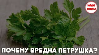 Почему вредна петрушка?