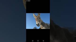 Слив личных фото Shark Leon4ik. КОНФЛИКТ. РАЗОБЛАЧЕНИЕ. МР$ЗЬ ВСЕГО РУССКОГО БС ЮТУБА.