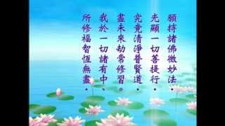 大方廣佛華嚴經-普賢菩薩行願品