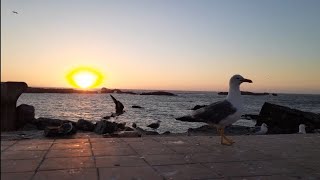 فلوك جديد #زيارة لمدينة الصويرة /انطلقنا من البلاد /طريق جبلية مختصرة ولكن صعيبة
