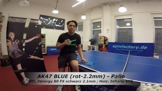 Palio AK47 BLUE: getestet von Benjamin Raquepo (03-03-16)