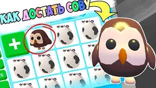 Как достать Сову!!! фермерские яйца в адопт ми. farm egg adopt me в роблокс