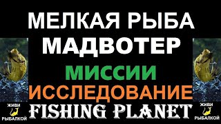 Мелкая рыба Мадвотер - миссия Fishing planet