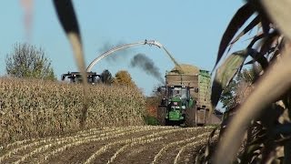 Mais Hakselen 2015 : Egide London , Claas Jaguar 980, John Deere 8370R , Noorbeek
