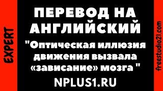 Перевод на английский статьи о функциях мозга с ресурса N+1