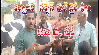 Successful Dairy farming In Karnataka Telugu Farmers | Dairy Farm Full Details | VillageAgriculture