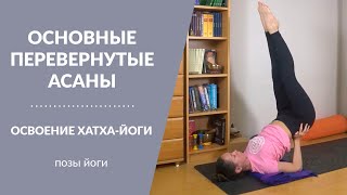 ПЕРЕВЕРНУТЫЕ АСАНЫ В ЙОГЕ. 4 основные перевернутые позы.