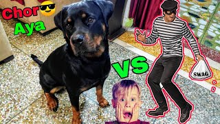 Rottweiler Dog Vs Chor || Dog Can Talk Part 13 || Review reloaded || Roxy
