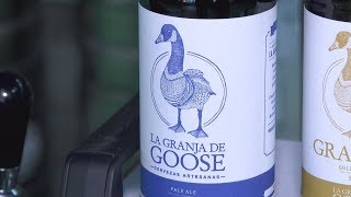 Feria de la Cerveza Artesana en San Cristóbal