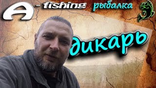 Экстрим рыбалка с флет метод фидер на диком водоеме, ловля рыбы в завоз