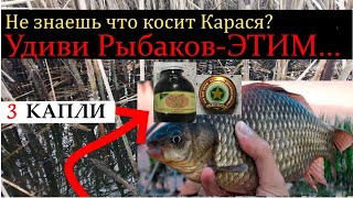 ДОКАЗАНО!!!!Будет Косить КАРАСЯ.Шикарная насадка на Карася и Карпа.Ароматизатор для рыбалки.Рыбалка.