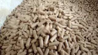 macchina  pellet