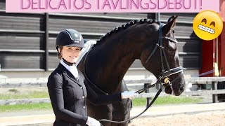 Delicatos tävlingsdebut! ♘ VLOGG ♘