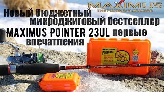 Новый бюджетный микроджиговый бестселлер - Maximus Pointer 23UL. Первые впечатления