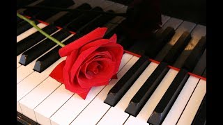 Beautiful Piano Music: Relaxing Music, Study Music, Sleep Music, Meditation Music