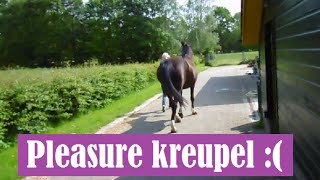 Verzorgpaard Pleasure kreupel / Vlog #7
