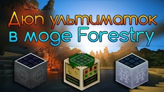 Дюп ультиматок с помощью мода Forestry #4