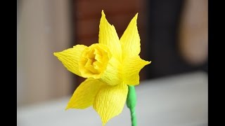 Нарцисс из крепповой бумаги. Мастер-класс.