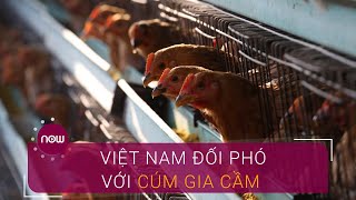Chưa hết Coronavirus, Việt Nam lo đối phó với cúm gia cầm | VTC Now