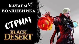 Wizzard / Волшебник - Гринд, фарм. Совмещаем полезное с полезным  [Black Desert]