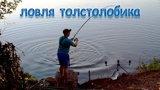 Рыбалка с ночёвкой. Ловля толстолобика на техноплактон.