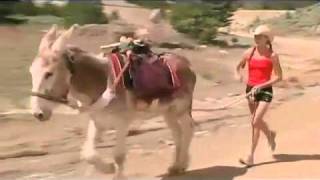 Burro Racing In Leadville Colorado.