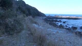 すさみ町高浜海岸、千畳岩の地磯　和歌山地磯アオリイカ釣り場紹介