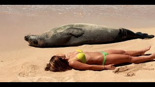 ЛУЧШИЕ ПРИКОЛЫ ИЮНЯ / ТОП ПОБЕДИТЕЛЕЙ ПО ЖИЗНИ | #4