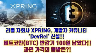 리플 자회사 XPRING, 개발자 커뮤니티 'DevRel' 신설!!, 비트코인(BTC) 반감기 100일 남았다 과연 가격의 향방은?! 및 기타소식들